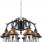 Уличный светильник подвесной Oasis Light MADRID-COOPER 84370c/6/16 Bl