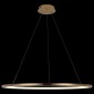 Подвесной светодиодный светильник Loft IT Ring 10014XL