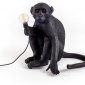 Интерьерная настольная лампа Seletti Monkey Lamp 14922