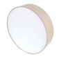 Потолочный светильник Lighthall Turdan 50 LH022032