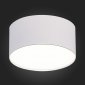 Потолочный светодиодный светильник ST Luce ST606.542.12