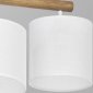 Подвесной светильник TK Lighting 4106 Deva White
