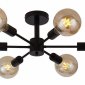 Потолочная люстра ST Luce Ano SL419.402.06