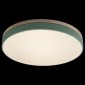 Потолочный светильник Loft IT Axel 10001/36 Green