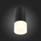 Потолочный светильник ST Luce ST100.412.01