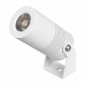 Прожектор уличный Arlight RAY 053631