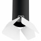 Потолочный светильник Lightstar Rullo (214487+202436) R487436