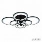 Потолочная люстра iLedex Ring A001/8 BK