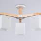 Люстра на штанге Ambrella Light TR TR83115
