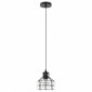 Подвесной светильник ЭРА Loft PL9 BK