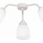 Потолочная люстра Vitaluce V31950/3PL