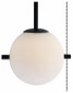 Подвесной светильник Loft IT Signal 10029PS Black