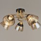 Потолочная люстра Reluce 04619-0.3-05