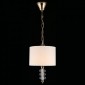 Подвесной светильник Aployt Franula APL.724.06.01