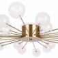 Потолочная люстра Freya Celebrity FR5242CL-24BS1