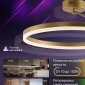 Потолочная люстра Natali Kovaltseva Finam LED LAMPS 81121/3C