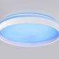 Накладной светильник Ambrella Light FZ FZ607