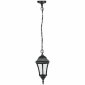 Уличный светильник подвесной Oasis Light 91305S Bl
