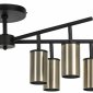 Потолочная люстра Lightstar Rullo LR728318