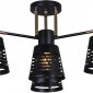 Потолочная люстра Reluce 06074-3.3-04 BK+FG