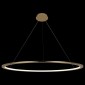 Подвесной светодиодный светильник Loft IT Ring 10014XXL