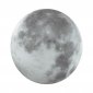 Настенно-потолочный светильник Moon 3084/CLN
