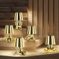 Интерьерная настольная лампа Brothers 10233/E Gold
