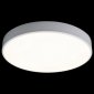 Потолочный светильник Loft IT Axel 10002/24 White