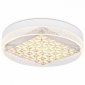 Потолочный светодиодный светильник Ambrella light Ice FA151
