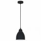 Подвесной светильник Arte Lamp Braccio A2054SP-1BK