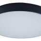 Потолочный светильник Loft IT Axel 10002/24 Black