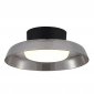 Потолочный светильник ST Luce Foray SL6019.412.01