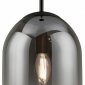 Подвесной светильник Freya Tesse FR1011PL-01B1