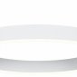Подвесной светильник Ambrella light ACRYLICA FA6605