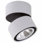 Точечный накладной светильник Lightstar Forte Muro 214830