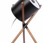 Настольная лампа Loft IT Bobbin 10245T Black