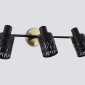 Настенно-потолочный спот Ambrella light TRADITIONAL TR8669