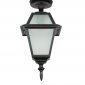 Потолочный светильник уличный Oasis Light FARO-FROST S 91105fSA Bl