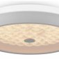 Накладной светильник Freya LED FR10012CL-L24W