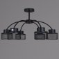 Потолочная люстра  68010-0.3-06 BK