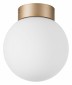 Настенно-потолочный светильник Lightstar Globo 812013