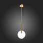 Подвесной светильник ST Luce Sofio SL1054.203.01