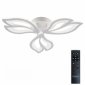 Потолочная люстра Fortuna LED LAMPS 81107/2C