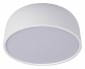 Потолочный светильник Loft IT Axel 10201/350 White