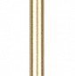 Настенный светодиодный светильник Loft IT Rays 10055GD