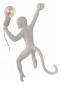 Настенный светильник Loft IT Monkey 10314W/B