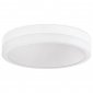 Потолочный светильник Ambrella light ACRYLICA FA9431