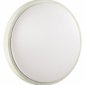 Настенно-потолочный светодиодный светильник Sonex Losta 7628/CL