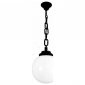 Уличный светильник подвесной Fumagalli Globe 300 G30.120.000.AZE27