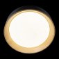Потолочный светильник Loft IT Coin 10202 Black